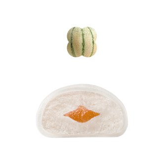 MP Диня